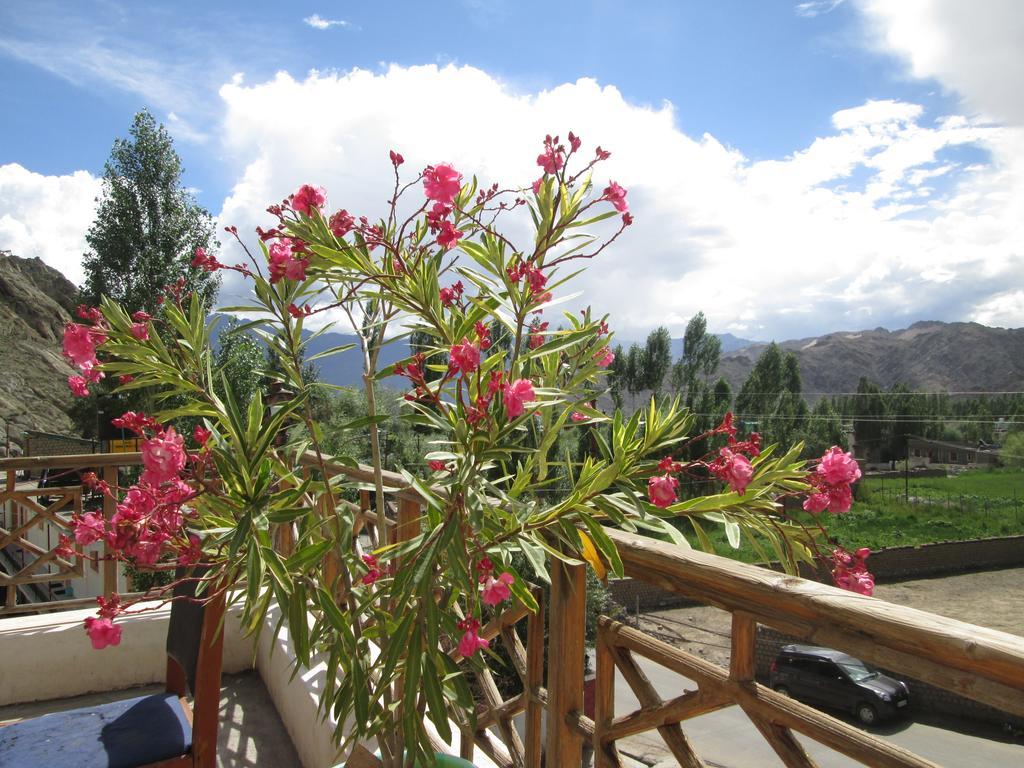 New Moon Guest House Leh Exterior foto