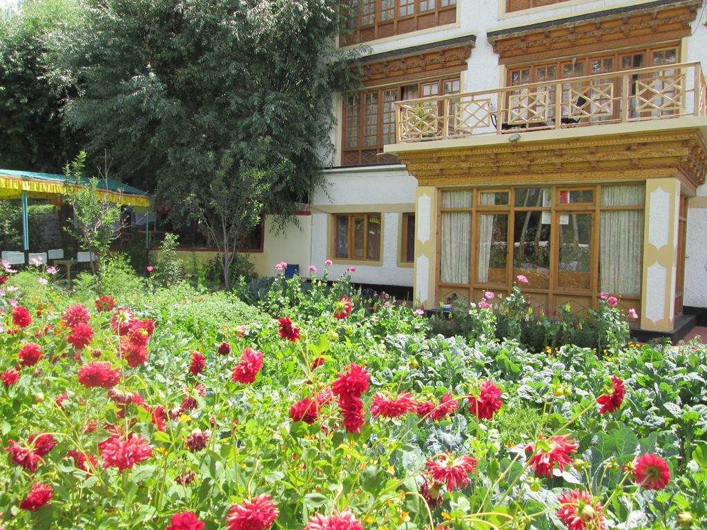 New Moon Guest House Leh Exterior foto